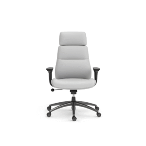 ErgoPro Office Chair